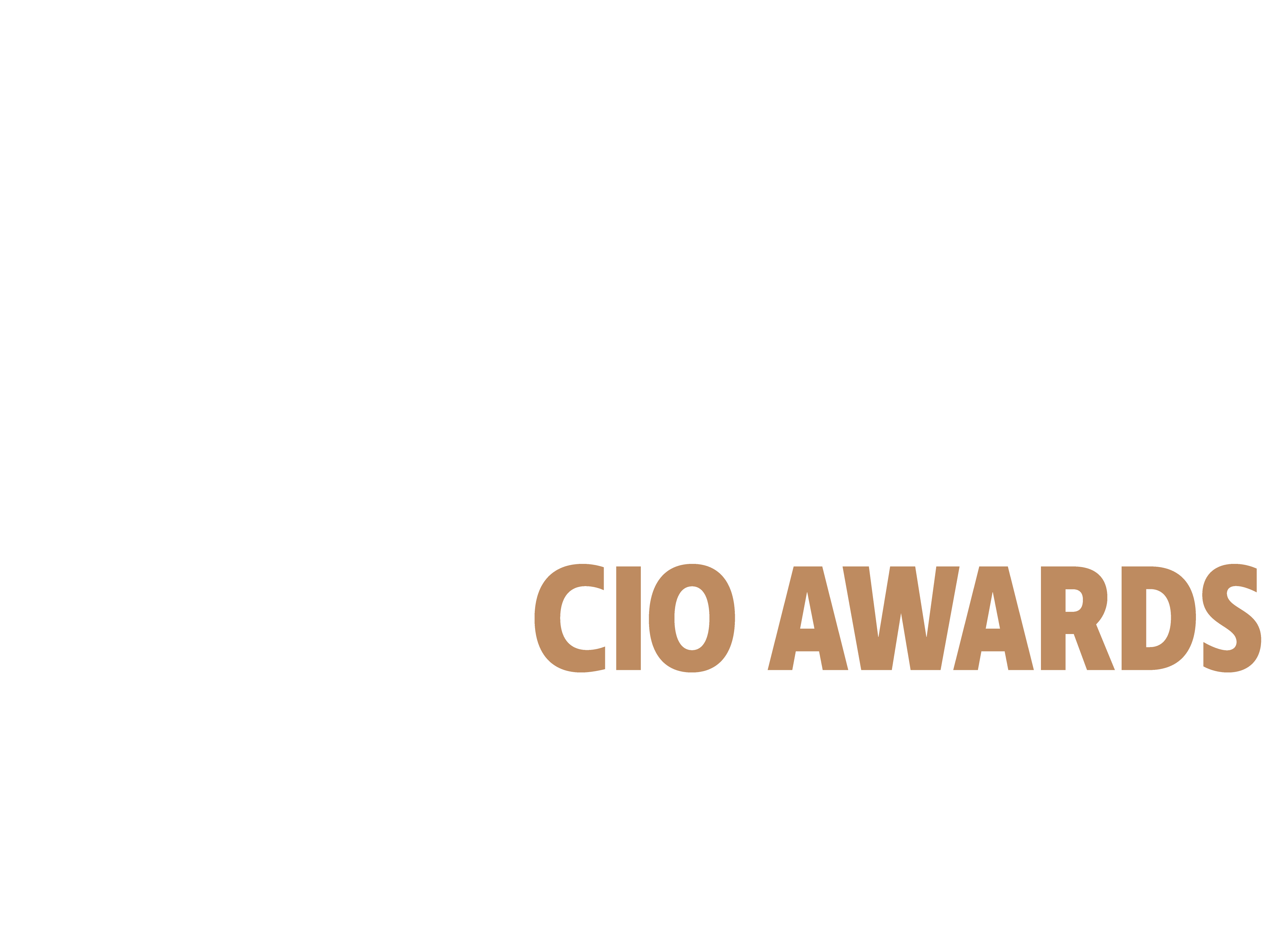 Nordic Cio Awards 2019